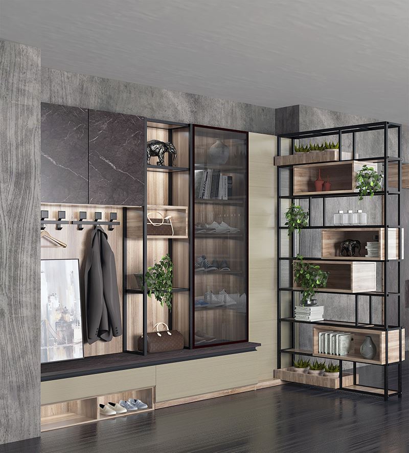 multifunctional enterway cabinet