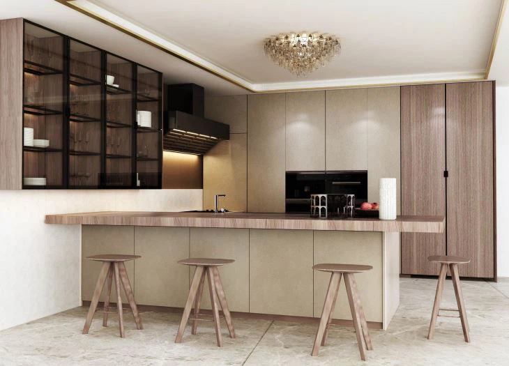 Custom Modern Grain Kitchen Cabinet