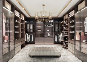 Walk-in Closet modern